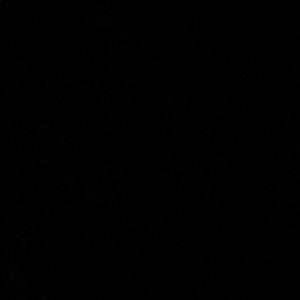 Meet your Posher, Anahit